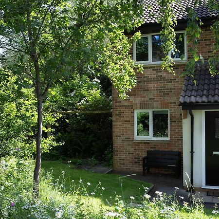 Vila 35 Quaker Lane Darlington  Exteriér fotografie